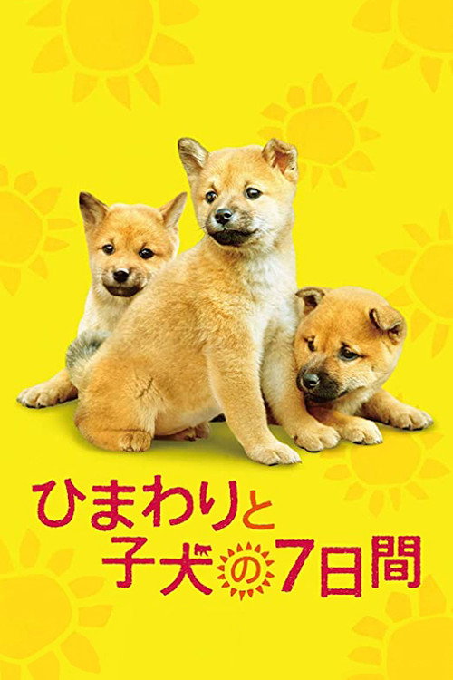 히마와리와 나의 7일