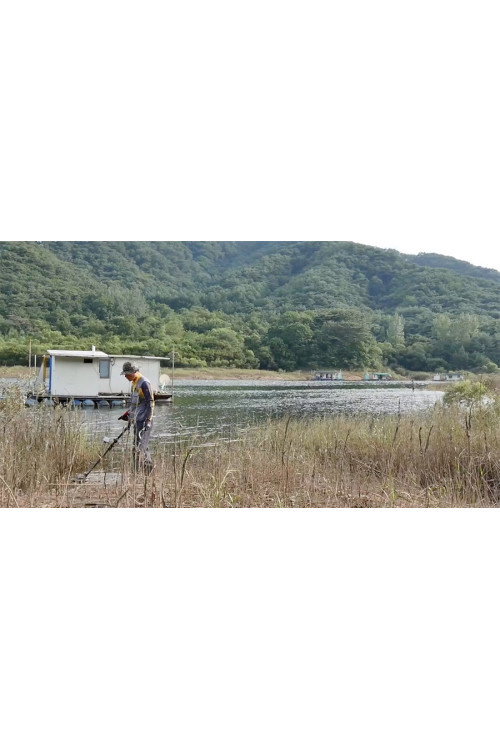 펀치 볼