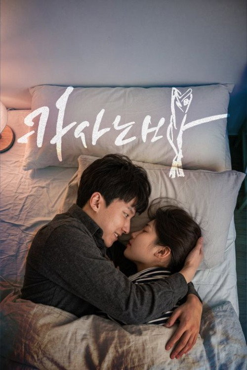 카사노바