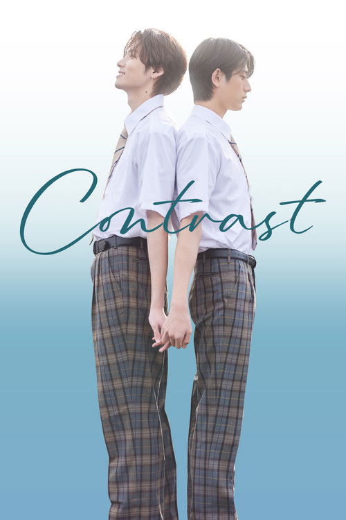 콘트라스트