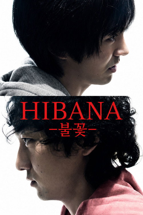Hibana: 불꽃
