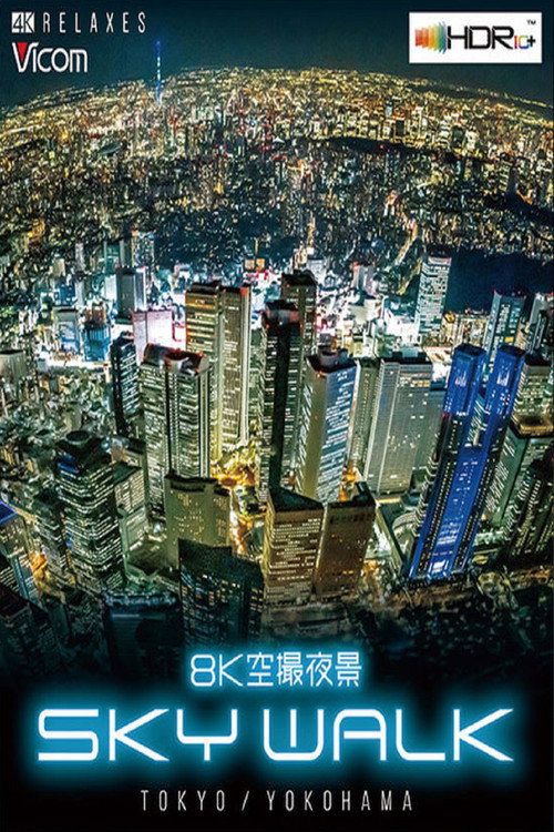 8K空撮夜景 SKY WALK (スカイウォーク)TOKYO/YOKOHAMA